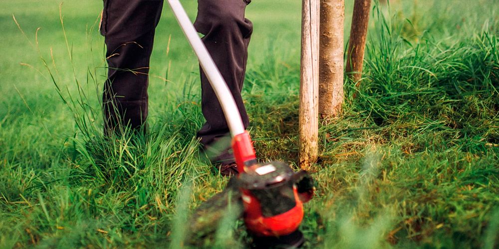 Coupe-bordures électriques : Solutions pour grandes surfaces